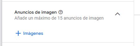 Performance Max de Google Ads