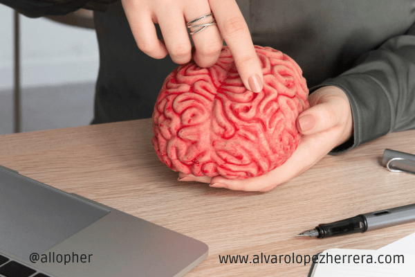 Cómo usar los sesgos cognitivos para lograr ventas